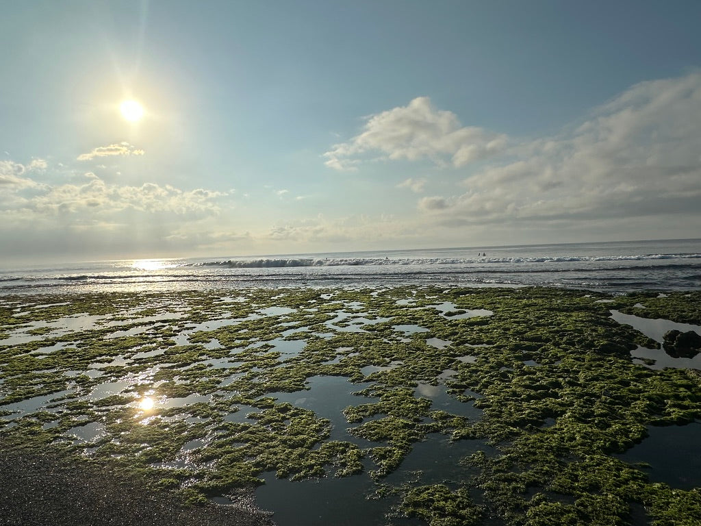 Bali Art Retreat 11 to 16 October 2027, Keramas