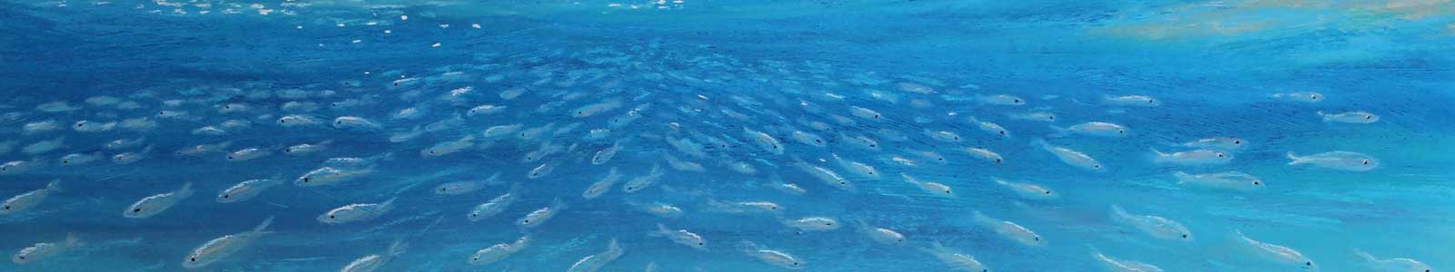 School Holiday Classes