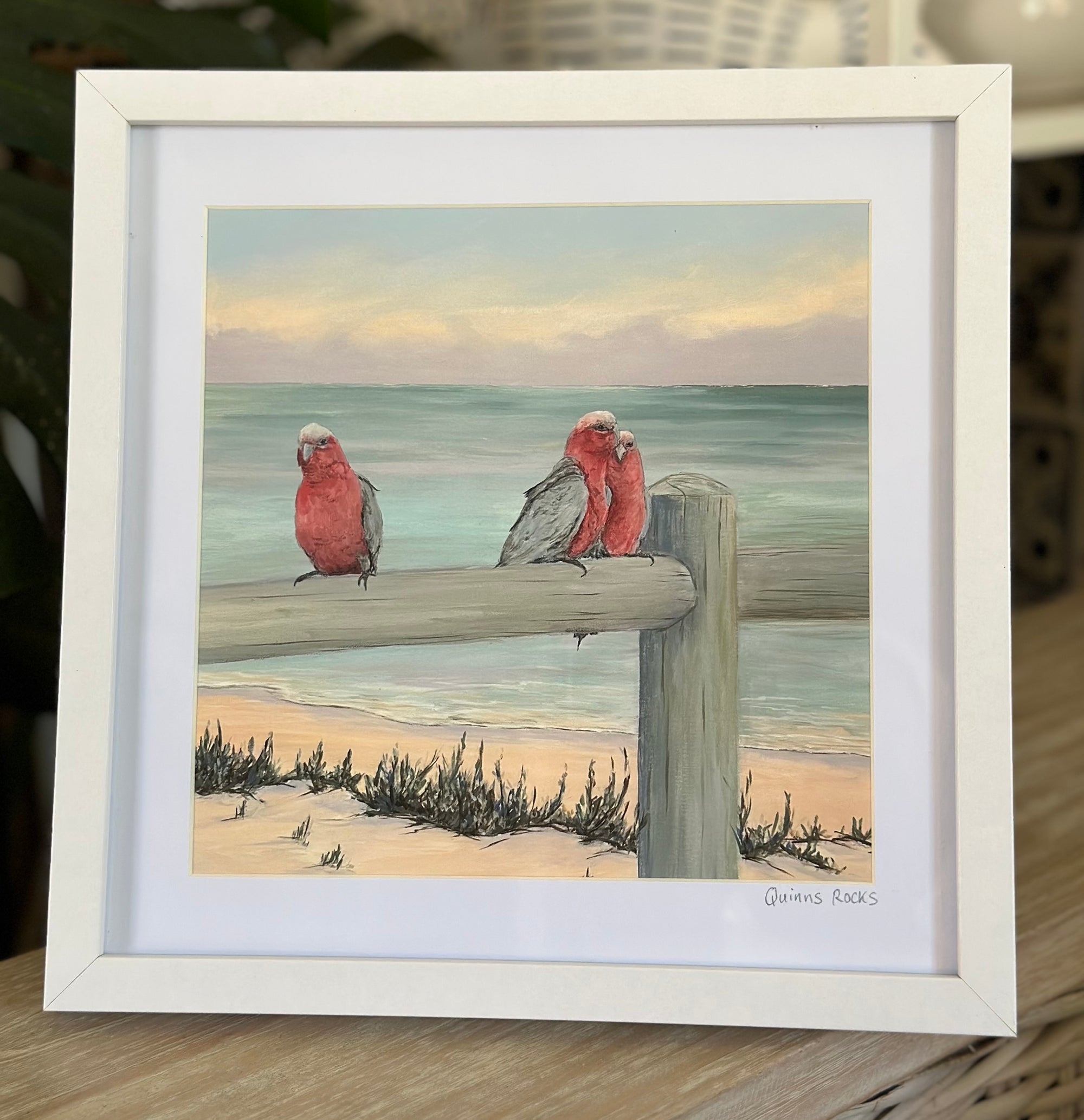 Love Birds , Quinn’s Beach