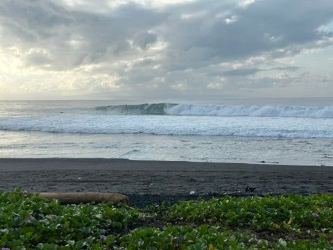 Bali Art Retreat - Acrylics - 13 to 18 October 2026 - Keramas  - $2,700