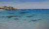 Rottnest