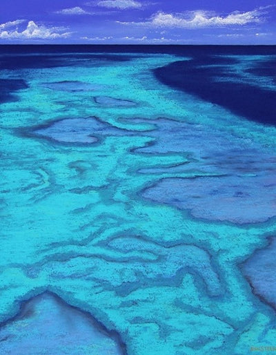 The Reef