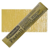 Olive Ochre Light 028D