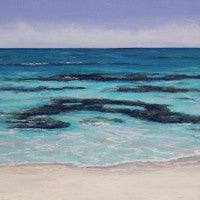 Along the Reef