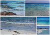 Crystal Waters Set of 5 Postcards