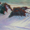 Autumn Shadows