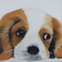 Just Too Cute - King Charles Cavalier