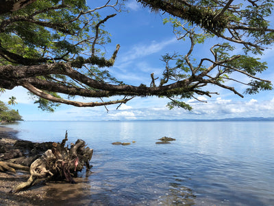 Workshop in Fiji - March 2018