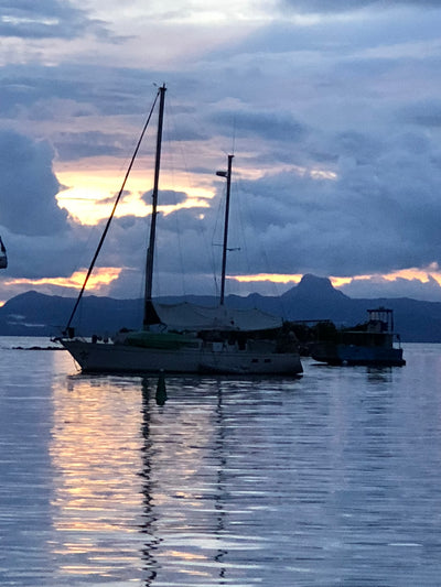 Workshop in Fiji - March 2018