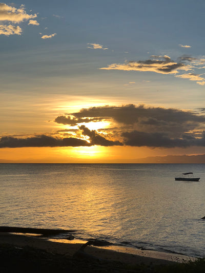 Workshop in Fiji - March 2018