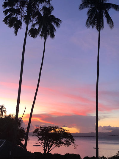 Workshop in Fiji - March 2018