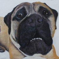 I'll be your best friend - Bull Mastiff