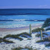Lavender Dunes