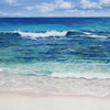 Little Bay