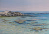 Shallow Reef, Rottnest