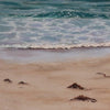 Shallow Waters