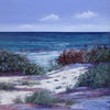 Spring Dunes