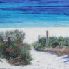Turquoise Delight