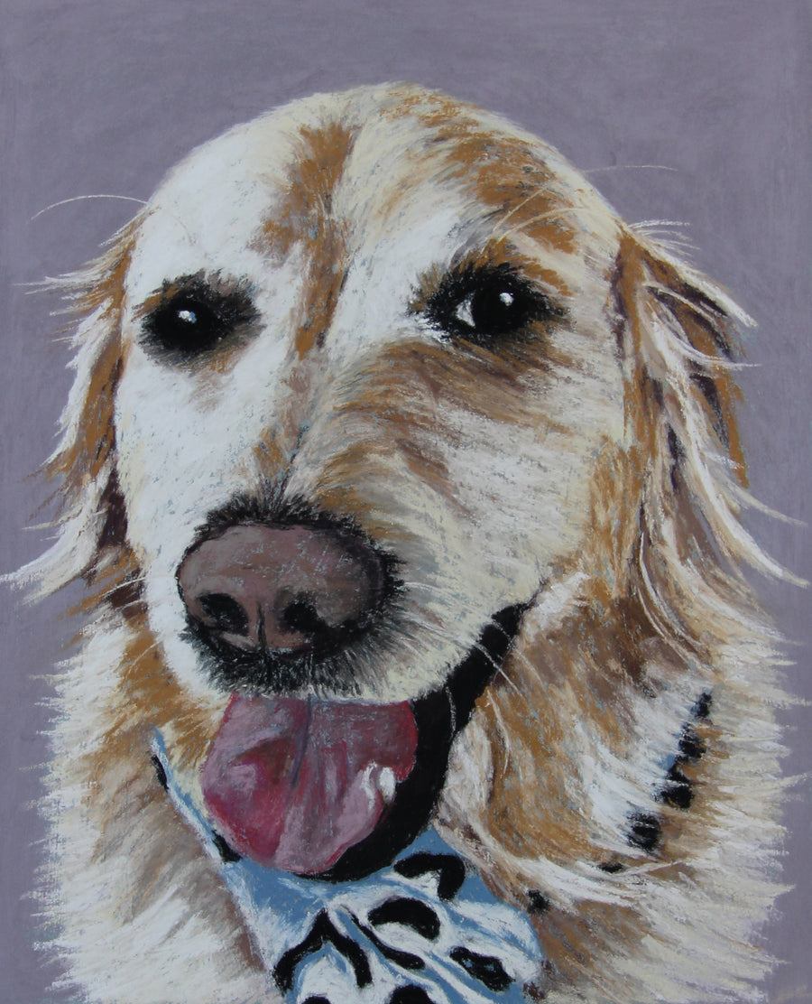 Too Cool for School - Golden Retriever