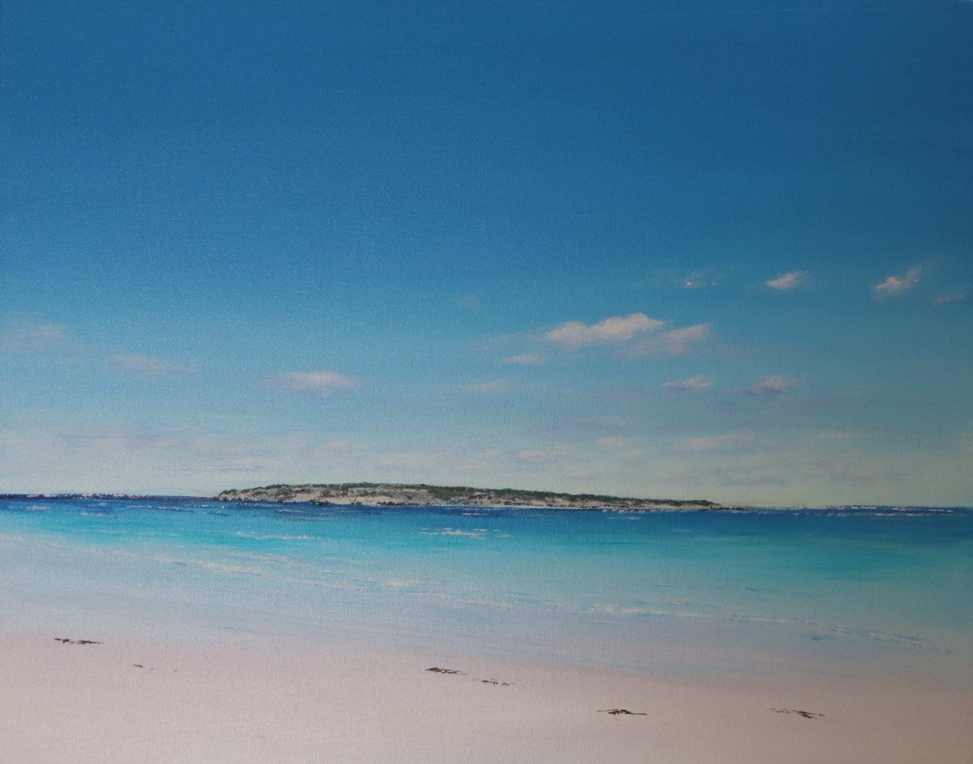 Windswept, Wedge Island