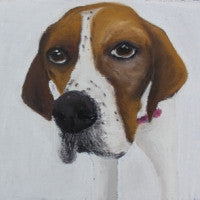 Follow me......... - Beagle