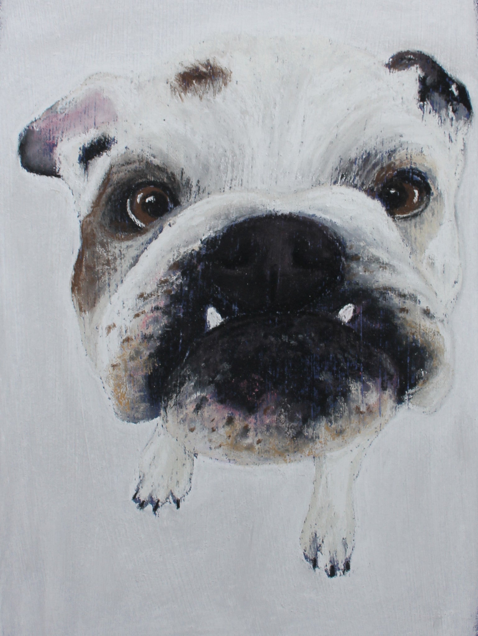 Call me Sir - British Bulldog