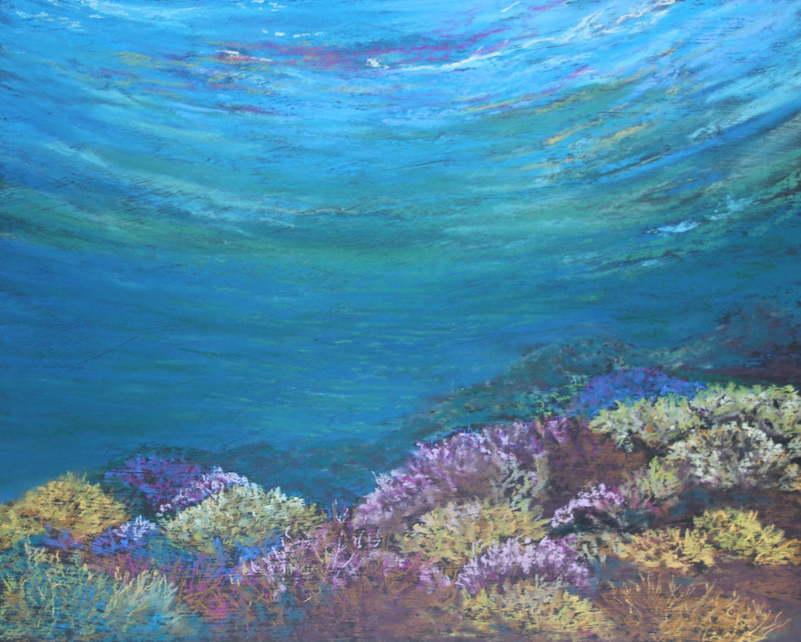 Coral Garden