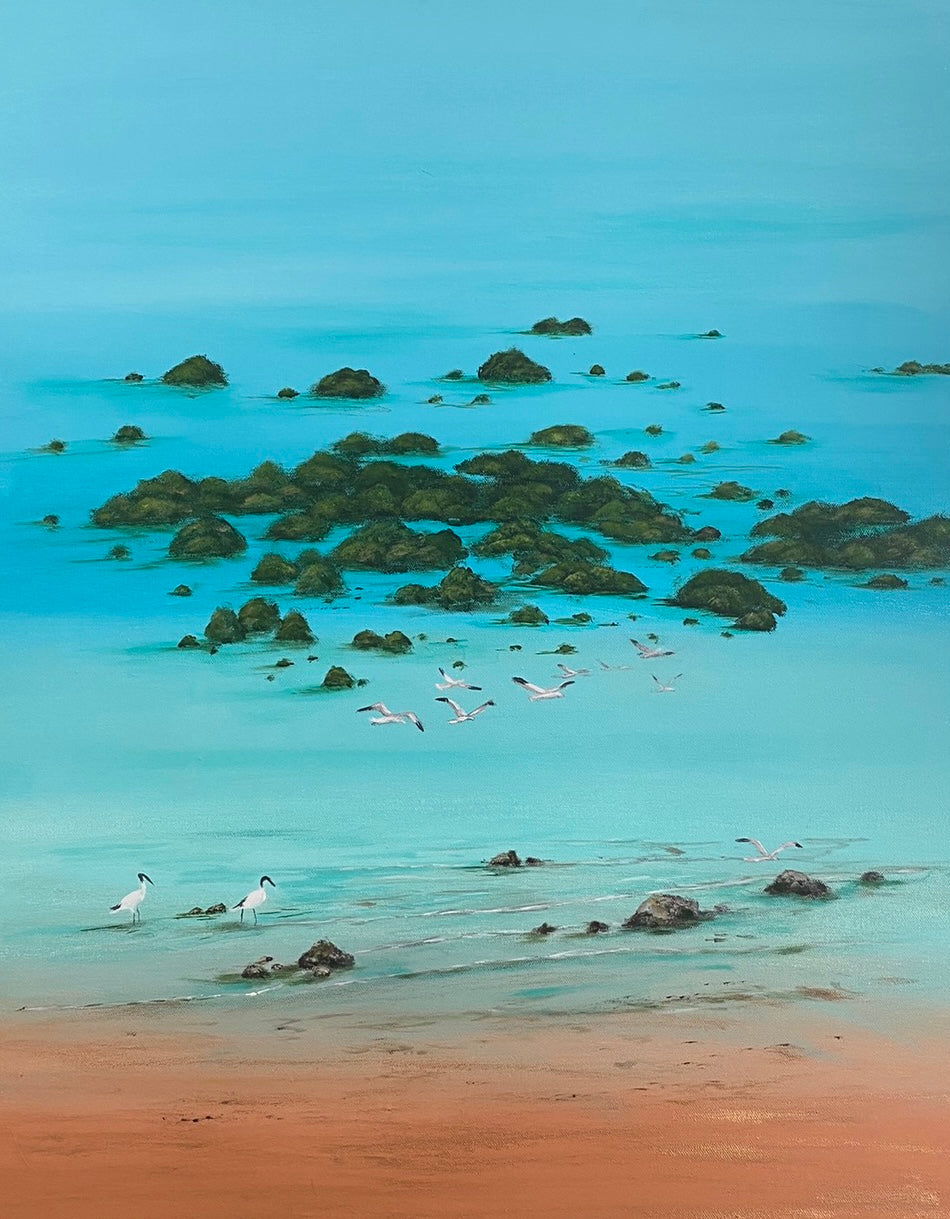 Broome Tide