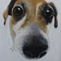 Jack's Back - Jack Russell