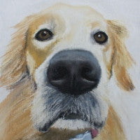 Does my nose look big? - Golden Retriever