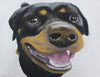 Because I'm Happy - Rottweiler