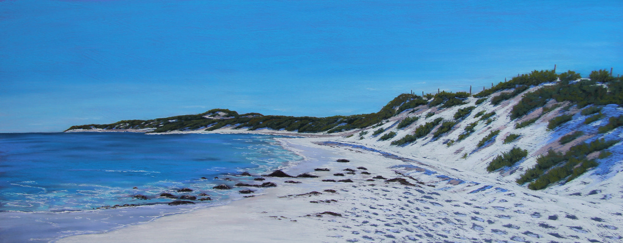 Solitary Stroll, Quinns Dog Beach