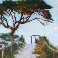 Warm Glow, Rottnest Island