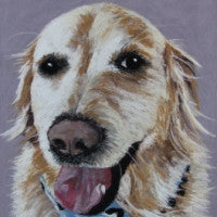 Too Cool for School - Golden Retriever